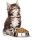 Корм для кошек и котов