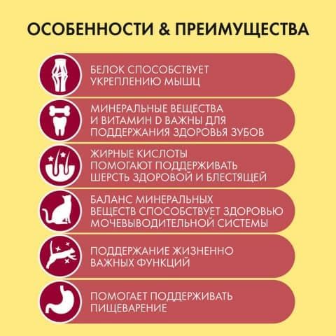 Влажный корм для взрослых кошек, с говядиной в подливе